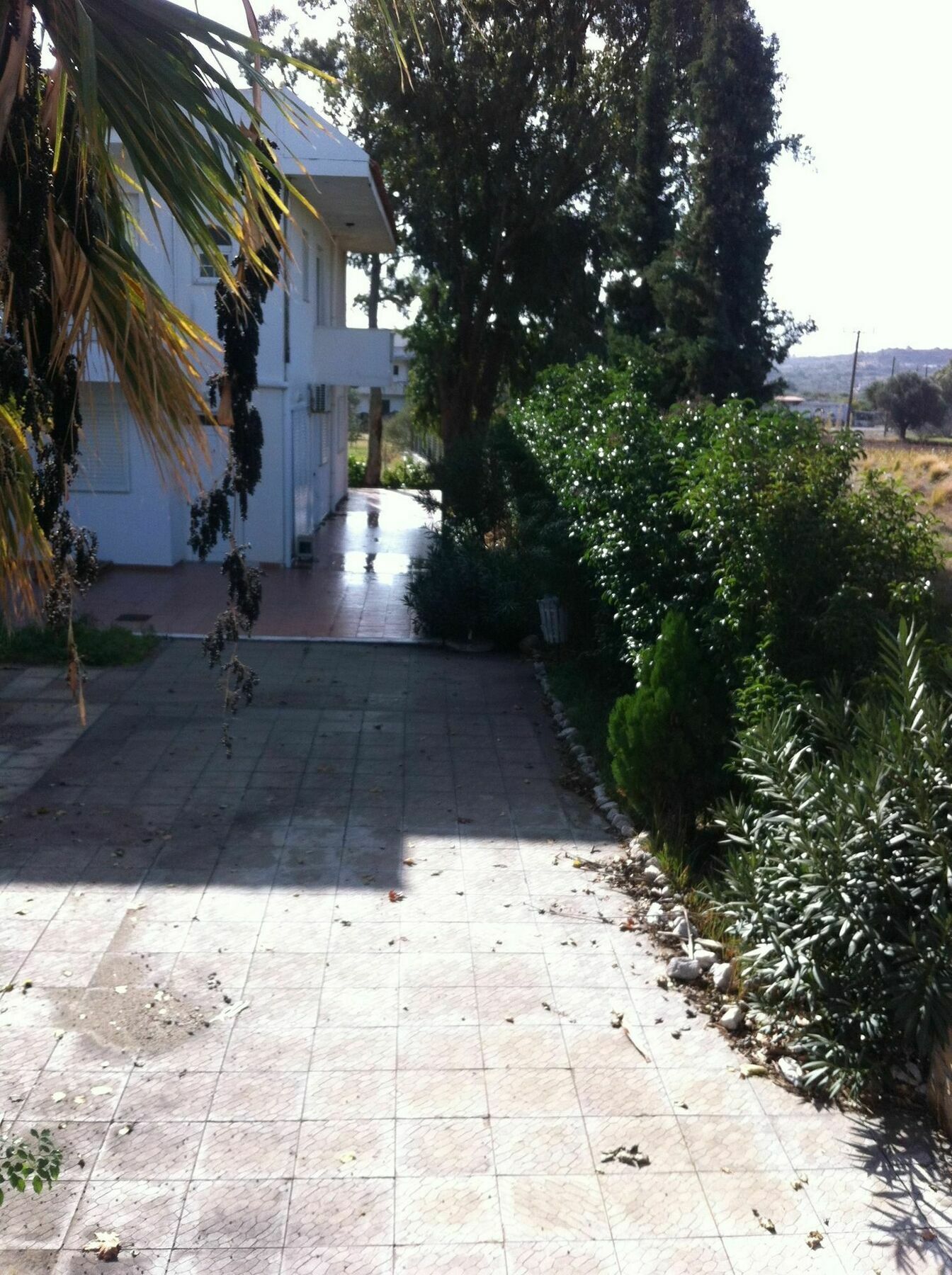 Apartament Evas *